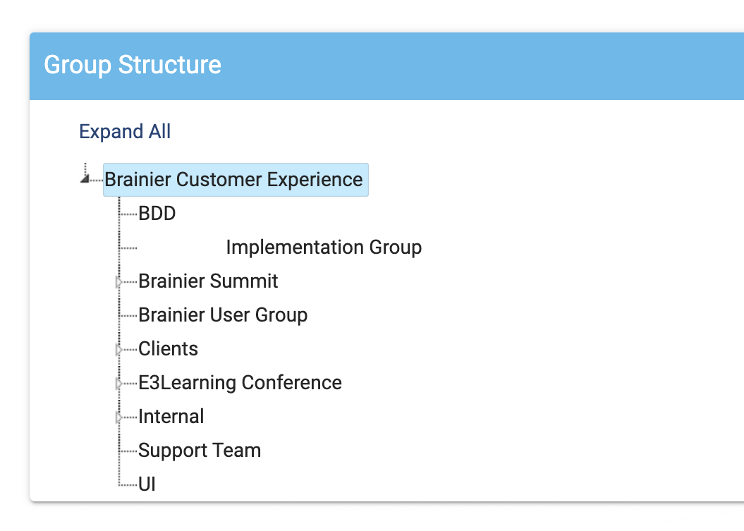 Group Structure.png